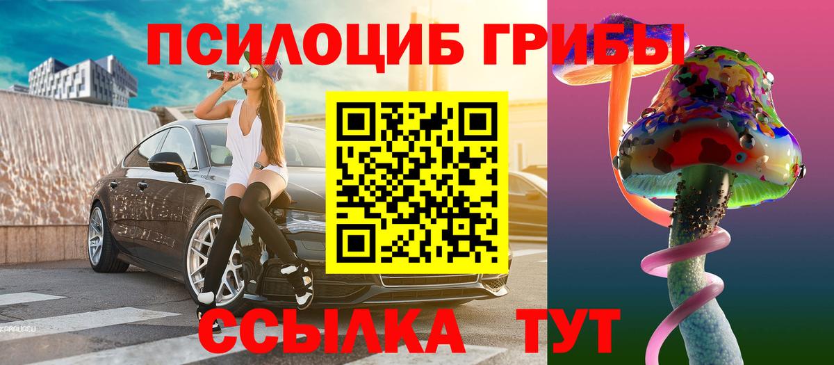 Галлюциногенные грибы Psilocybe Амурск